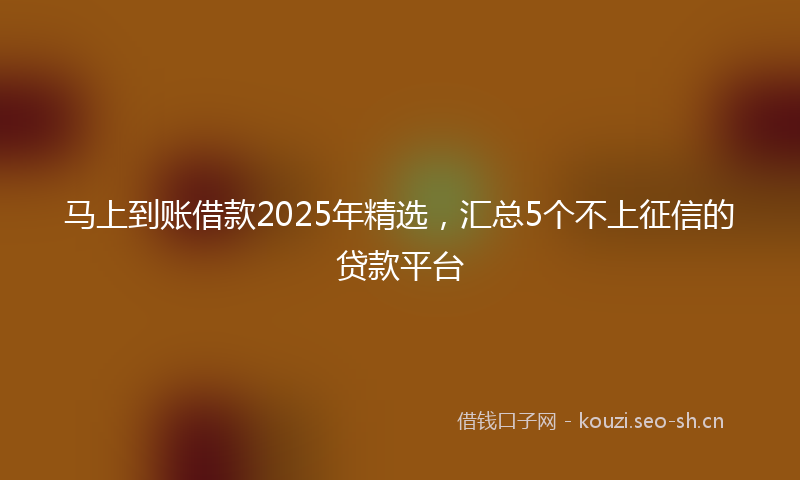 马上到账借款2025年精选，汇总5个不上征信的贷款平台
