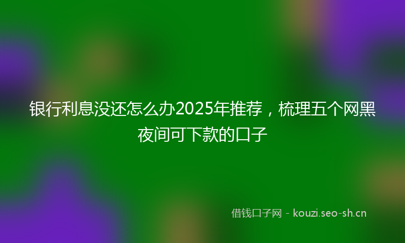 银行利息没还怎么办2025年推荐,梳理五个网黑夜间可下款的口子
