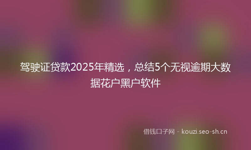 驾驶证贷款2025年精选，总结5个无视逾期大数据花户黑户软件
