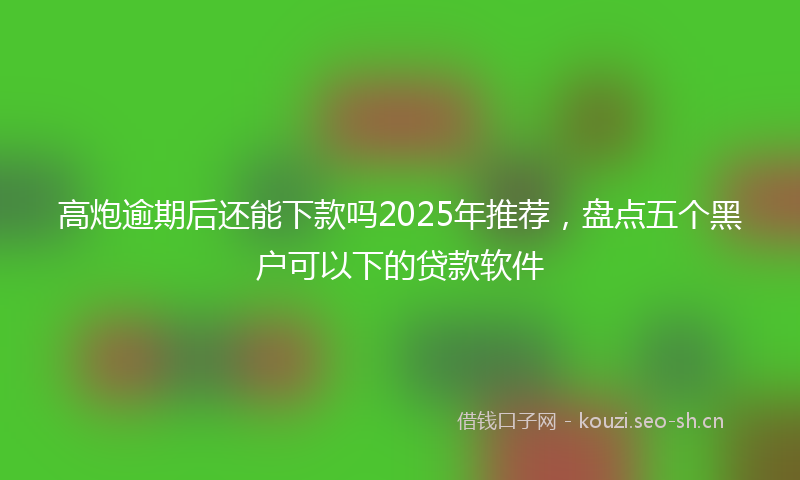 高炮逾期后还能下款吗2025年推荐，盘点五个黑户可以下的贷款软件