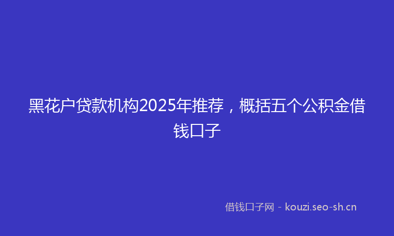 黑花户贷款机构2025年推荐,概括五个公积金借钱口子