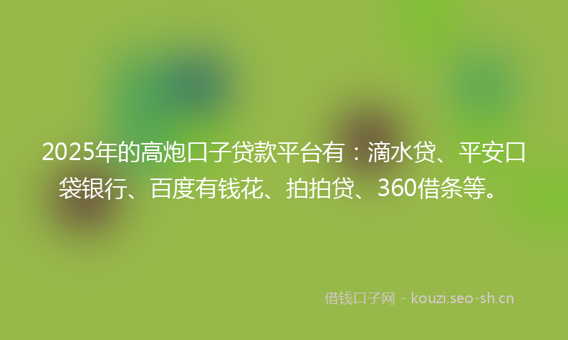 2025年的高炮口子贷款平台有：滴水贷、平安口袋银行、百度有钱花、拍拍贷、360借条等。