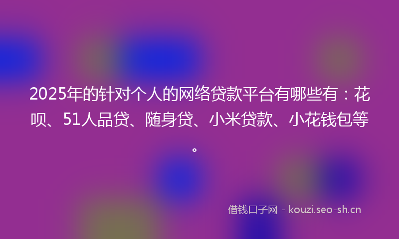 2025年的针对个人的网络贷款平台有哪些有：花呗、51人品贷、随身贷、小米贷款、小花钱包等。