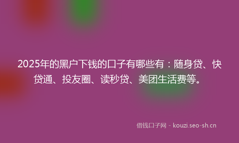 2025年的黑户下钱的口子有哪些有：随身贷、快贷通、投友圈、读秒贷、美团生活费等。