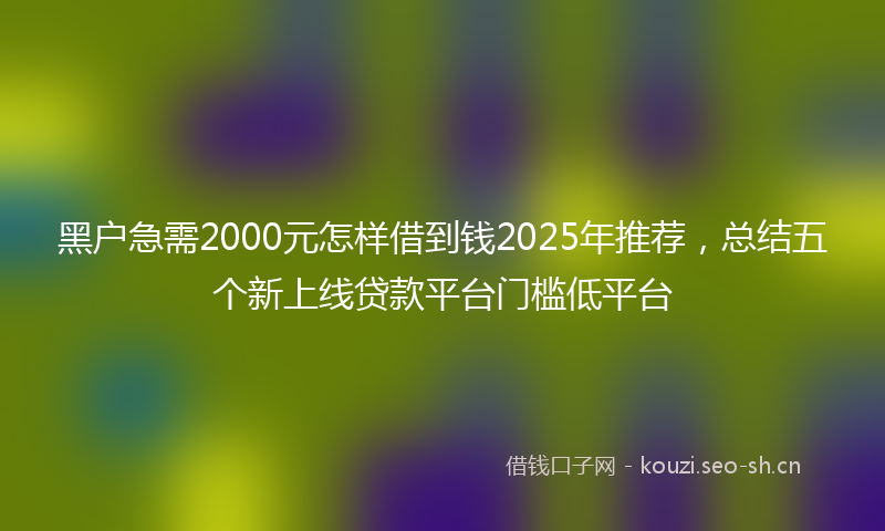 黑户急需2000元怎样借到钱2025年推荐，总结五个新上线贷款平台门槛低平台