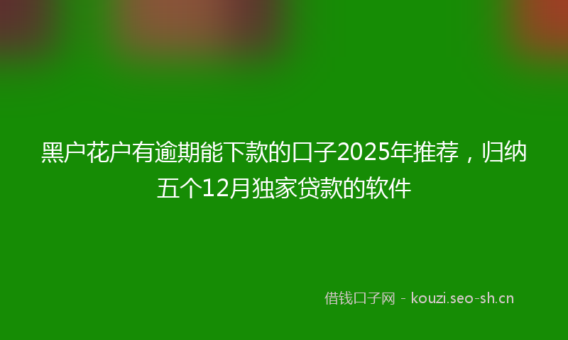 黑户花户有逾期能下款的口子2025年推荐，归纳五个12月独家贷款的软件