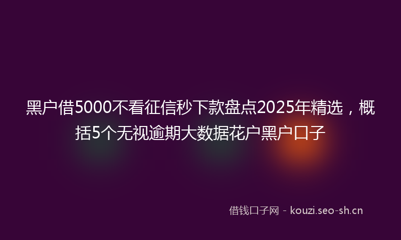 黑户借5000不看征信秒下款盘点2025年精选，概括5个无视逾期大数据花户黑户口子