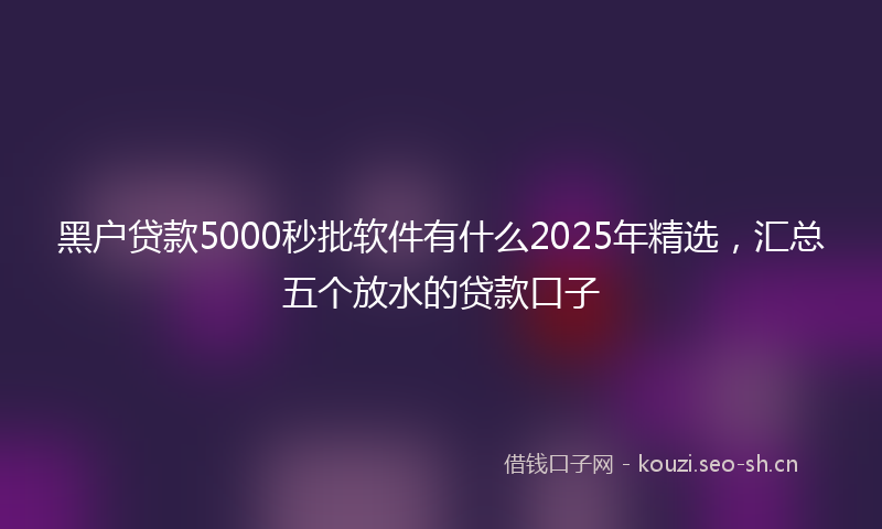 黑户贷款5000秒批软件有什么2025年精选，汇总五个放水的贷款口子