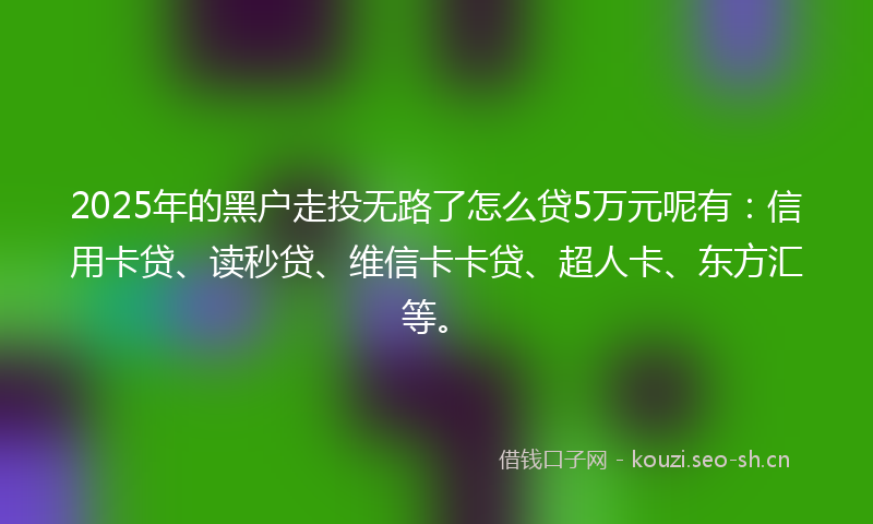 2025年的黑户走投无路了怎么贷5万元呢有：信用卡贷、读秒贷、维信卡卡贷、超人卡、东方汇等。