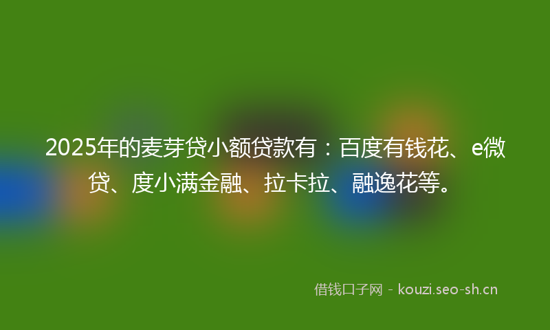 2025年的麦芽贷小额贷款有：百度有钱花、e微贷、度小满金融、拉卡拉、融逸花等。