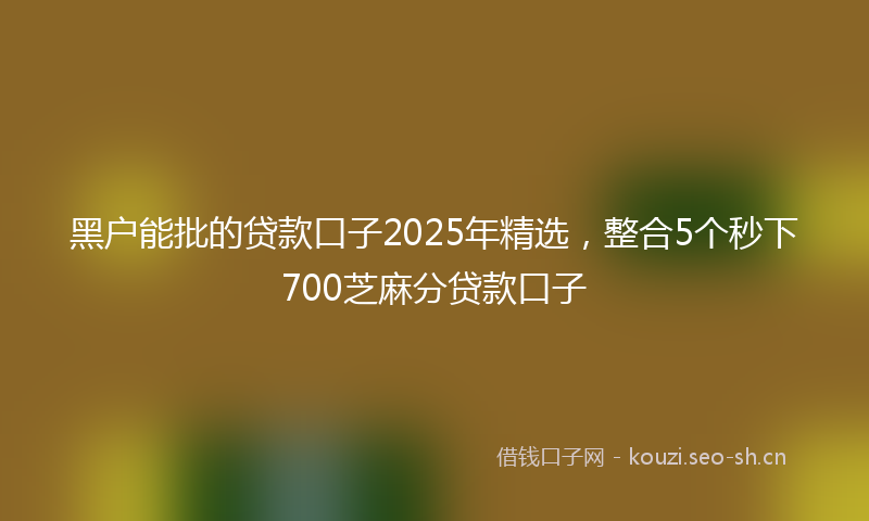 黑户能批的贷款口子2025年精选,整合5个秒下700芝麻分贷款口子