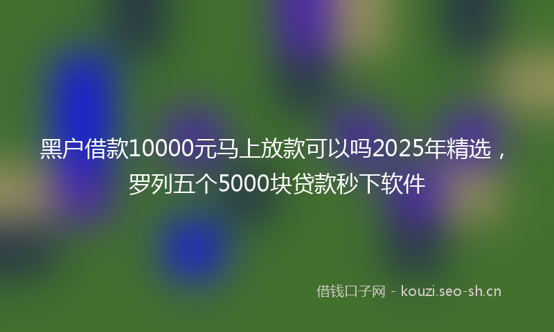 黑户借款10000元马上放款可以吗2025年精选，罗列五个5000块贷款秒下软件