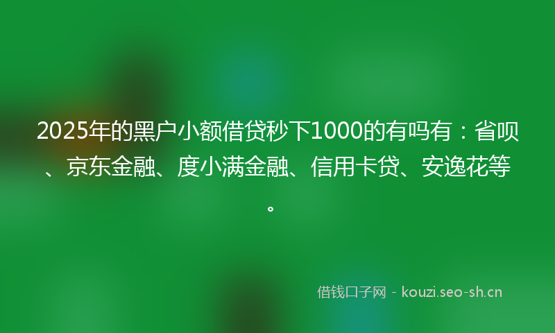 2025年的黑户小额借贷秒下1000的有吗有：省呗、京东金融、度小满金融、信用卡贷、安逸花等。