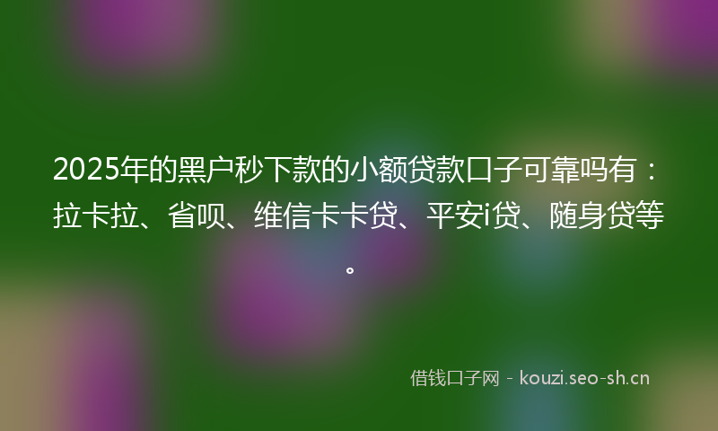 2025年的黑户秒下款的小额贷款口子可靠吗有：拉卡拉、省呗、维信卡卡贷、平安i贷、随身贷等。