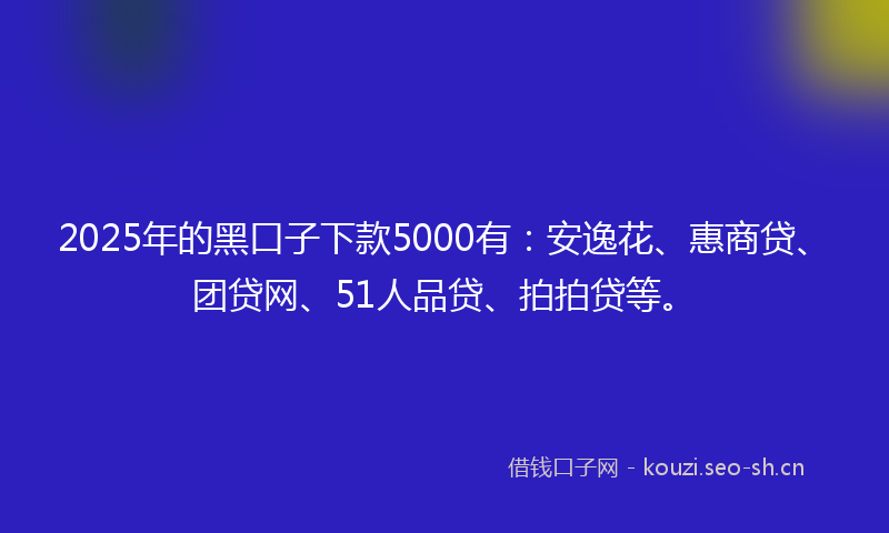 2025年的黑口子下款5000有：安逸花、惠商贷、团贷网、51人品贷、拍拍贷等。