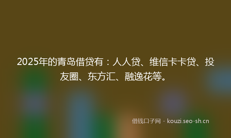 2025年的青岛借贷有：人人贷、维信卡卡贷、投友圈、东方汇、融逸花等。