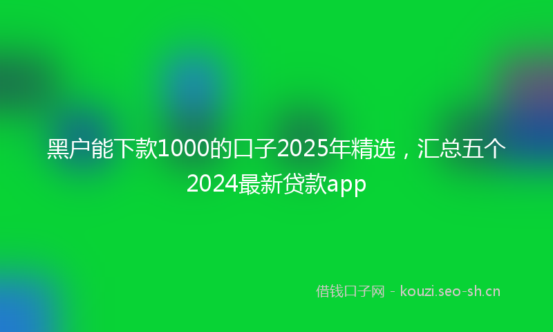 黑户能下款1000的口子2025年精选，汇总五个2024最新贷款app