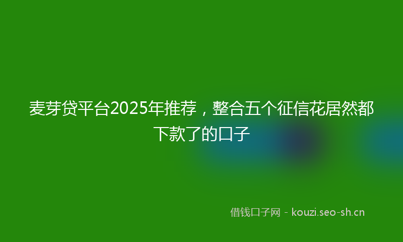 麦芽贷平台2025年推荐,整合五个征信花居然都下款了的口子