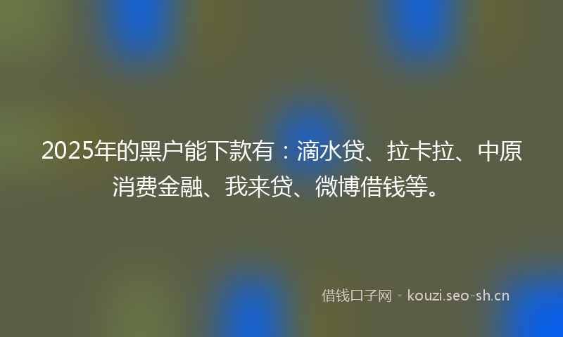 2025年的黑户能下款有：滴水贷、拉卡拉、中原消费金融、我来贷、微博借钱等。