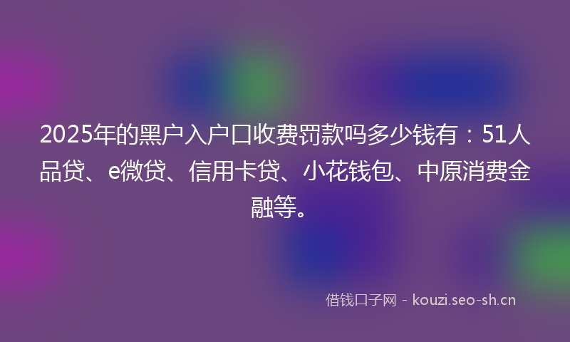 2025年的黑户入户口收费罚款吗多少钱有：51人品贷、e微贷、信用卡贷、小花钱包、中原消费金融等。