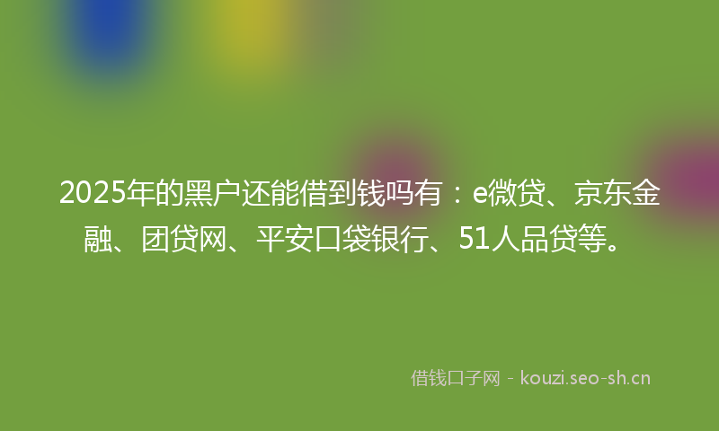 2025年的黑户还能借到钱吗有：e微贷、京东金融、团贷网、平安口袋银行、51人品贷等。