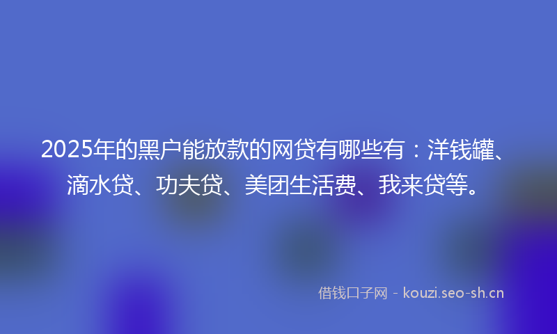 2025年的黑户能放款的网贷有哪些有：洋钱罐、滴水贷、功夫贷、美团生活费、我来贷等。