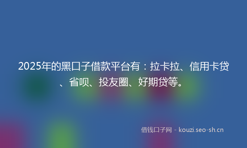 2025年的黑口子借款平台有：拉卡拉、信用卡贷、省呗、投友圈、好期贷等。