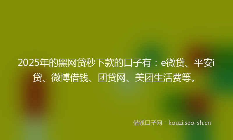 2025年的黑网贷秒下款的口子有：e微贷、平安i贷、微博借钱、团贷网、美团生活费等。