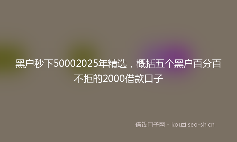 黑户秒下50002025年精选，概括五个黑户百分百不拒的2000借款口子