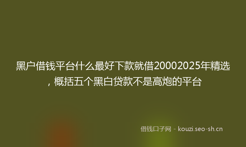 黑户借钱平台什么最好下款就借20002025年精选,概括五个黑白贷款不是高炮的平台