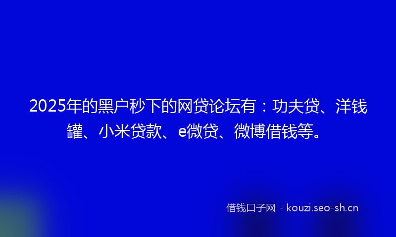 2025年的黑户秒下的网贷论坛有：功夫贷、洋钱罐、小米贷款、e微贷、微博借钱等。