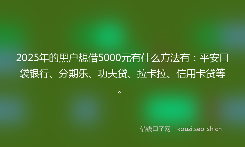 2025年的黑户想借5000元有什么方法有:平安口袋银行、分期乐、功夫贷、拉卡拉、信用卡贷等。