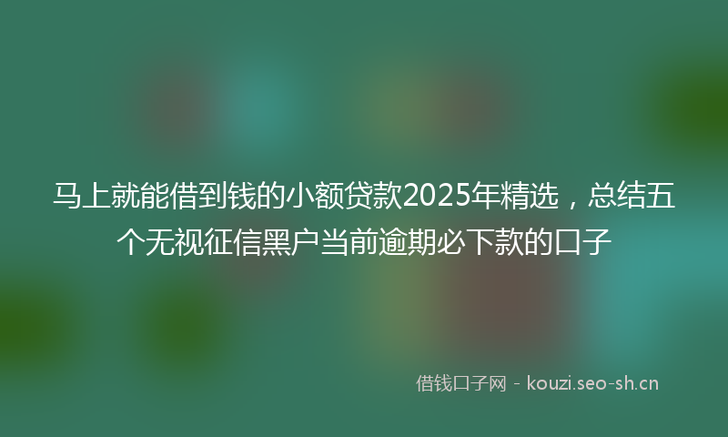 马上就能借到钱的小额贷款2025年精选，总结五个无视征信黑户当前逾期必下款的口子