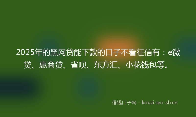 2025年的黑网贷能下款的口子不看征信有：e微贷、惠商贷、省呗、东方汇、小花钱包等。