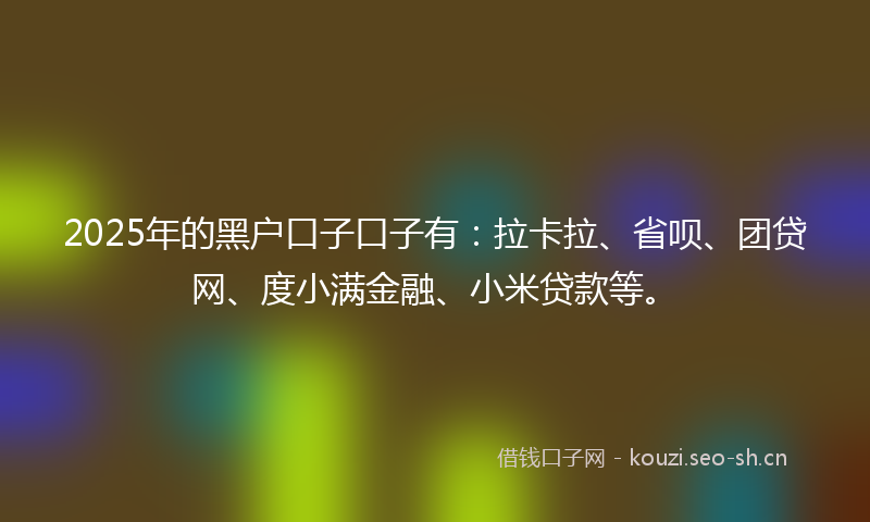 2025年的黑户口子口子有：拉卡拉、省呗、团贷网、度小满金融、小米贷款等。