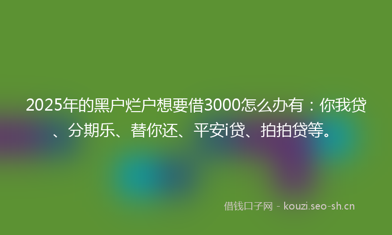 2025年的黑户烂户想要借3000怎么办有：你我贷、分期乐、替你还、平安i贷、拍拍贷等。