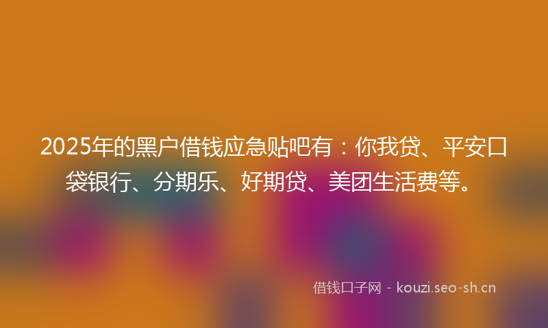 2025年的黑户借钱应急贴吧有:你我贷、平安口袋银行、分期乐、好期贷、美团生活费等。