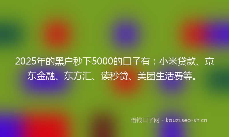 2025年的黑户秒下5000的口子有：小米贷款、京东金融、东方汇、读秒贷、美团生活费等。