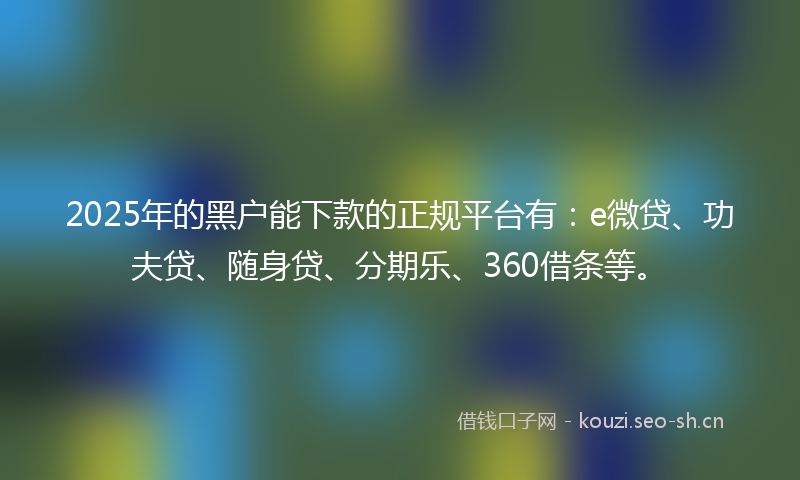 2025年的黑户能下款的正规平台有：e微贷、功夫贷、随身贷、分期乐、360借条等。