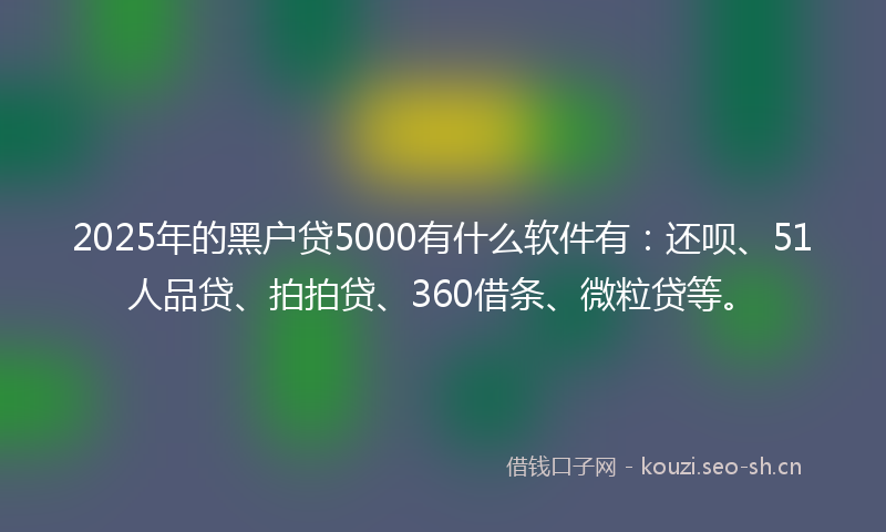 2025年的黑户贷5000有什么软件有：还呗、51人品贷、拍拍贷、360借条、微粒贷等。