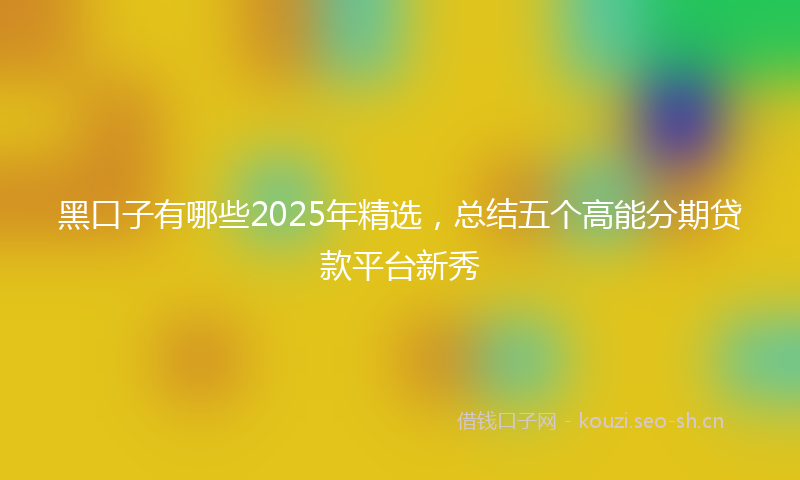 黑口子有哪些2025年精选,总结五个高能分期贷款平台新秀