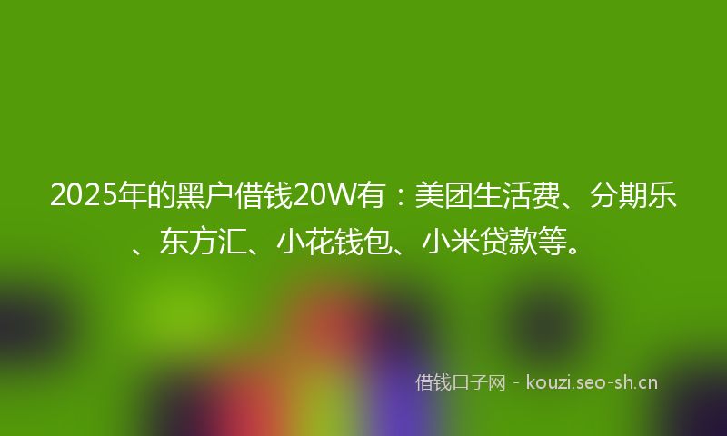 2025年的黑户借钱20W有:美团生活费、分期乐、东方汇、小花钱包、小米贷款等。