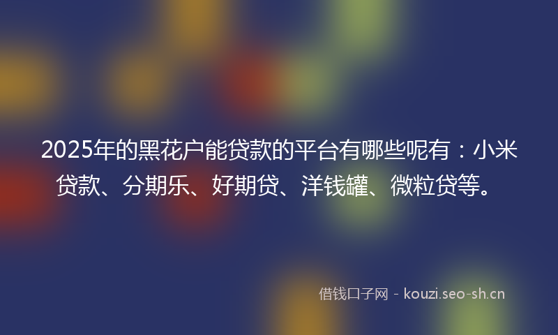 2025年的黑花户能贷款的平台有哪些呢有：小米贷款、分期乐、好期贷、洋钱罐、微粒贷等。