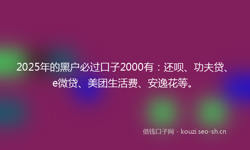2025年的黑户必过口子2000有：还呗、功夫贷、e微贷、美团生活费、安逸花等。