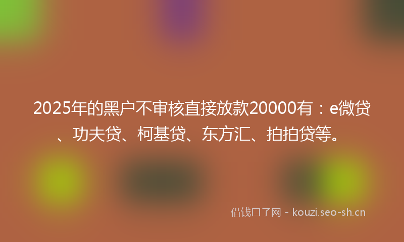 2025年的黑户不审核直接放款20000有：e微贷、功夫贷、柯基贷、东方汇、拍拍贷等。