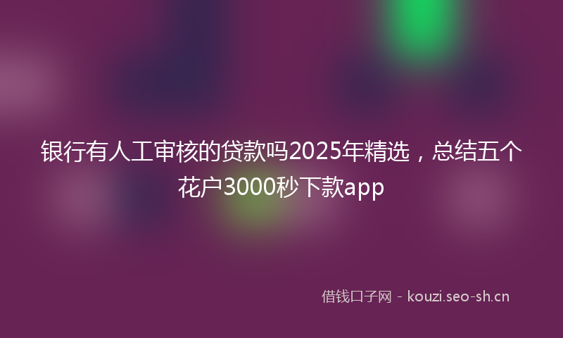 银行有人工审核的贷款吗2025年精选，总结五个花户3000秒下款app