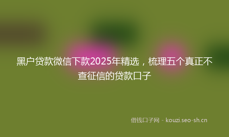 黑户贷款微信下款2025年精选，梳理五个真正不查征信的贷款口子
