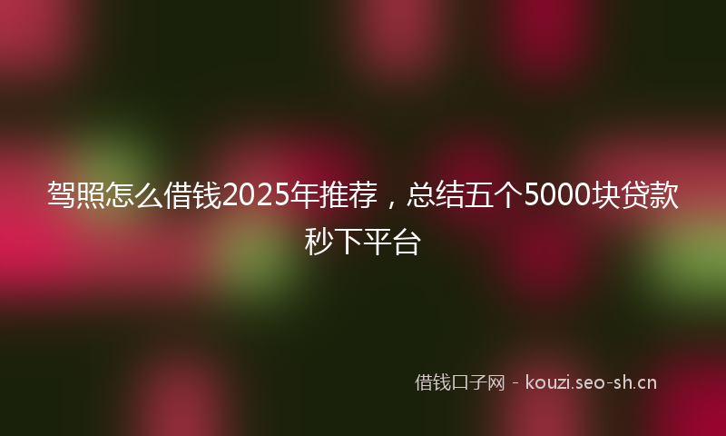 驾照怎么借钱2025年推荐,总结五个5000块贷款秒下平台