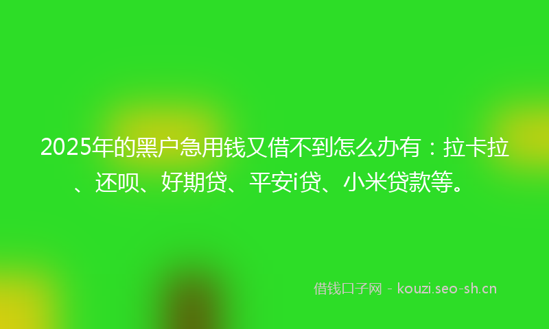2025年的黑户急用钱又借不到怎么办有：拉卡拉、还呗、好期贷、平安i贷、小米贷款等。