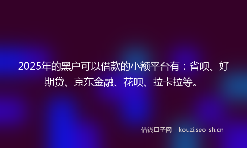 2025年的黑户可以借款的小额平台有：省呗、好期贷、京东金融、花呗、拉卡拉等。